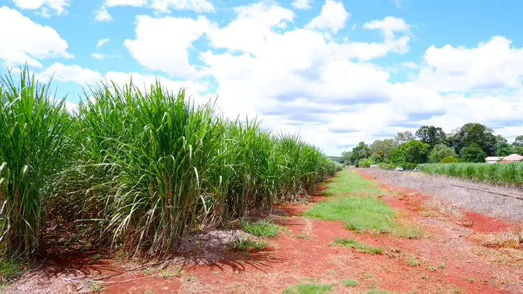 Fifth view of Homely rural property listing, Lot 1 Station Road, Doolbi QLD 4660