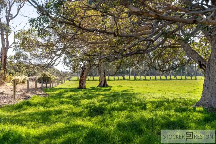 Fifth view of Homely rural property listing, PL 101 of Lots 329 and 331 Bussell Highway, Cowaramup WA 6284