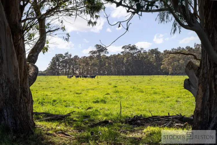 Seventh view of Homely rural property listing, PL 101 of Lots 329 and 331 Bussell Highway, Cowaramup WA 6284