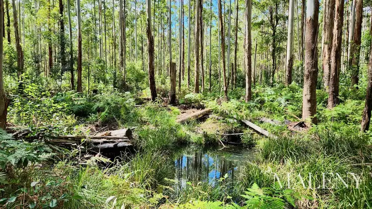 Fourth view of Homely land listing, Lot 120 Goodla Rd, Bellthorpe QLD 4514