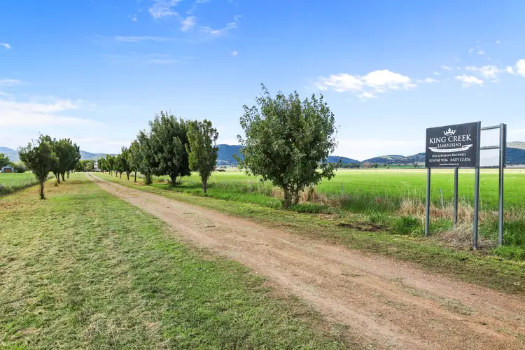 Third view of Homely rural property listing, "Cambridge" 1034 Piallaway Road, Currabubula NSW 2342