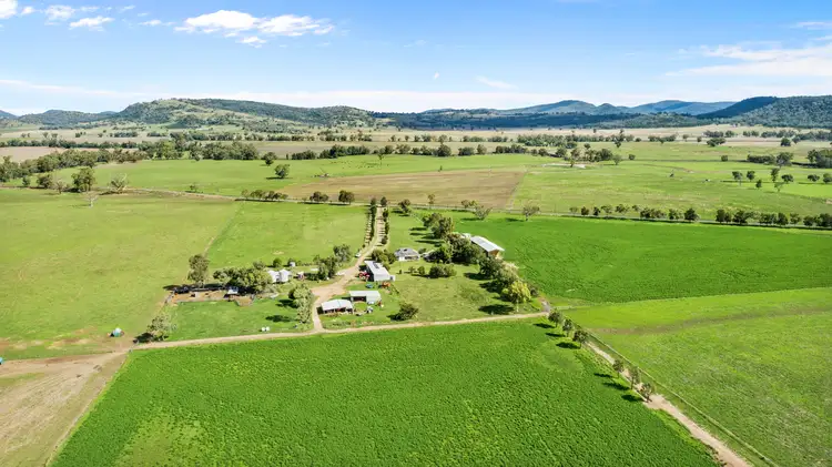 Fifth view of Homely rural property listing, "Cambridge" 1034 Piallaway Road, Currabubula NSW 2342