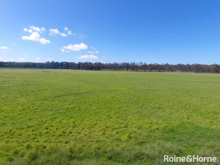 Fourth view of Homely rural property listing, 298 Findowie Road, Kingaroy QLD 4610