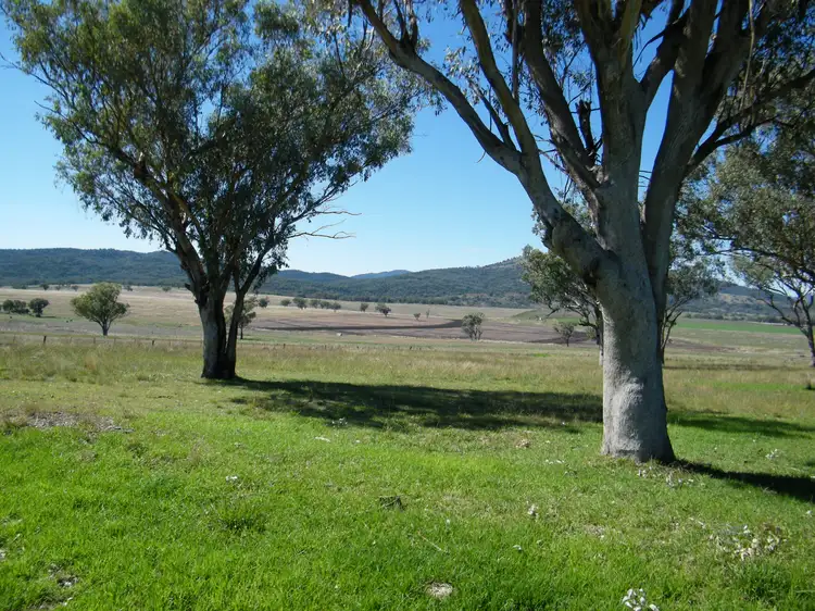 Third view of Homely rural property listing, "Gwyooli" 706 Borah Creek Rd, Quirindi NSW 2343