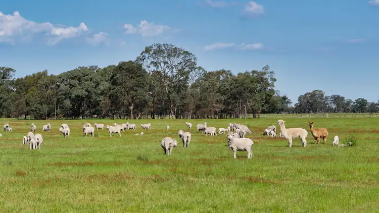 Third view of Homely rural property listing, Lot 1 Ararat Halls Gap Road, Pomonal VIC 3381