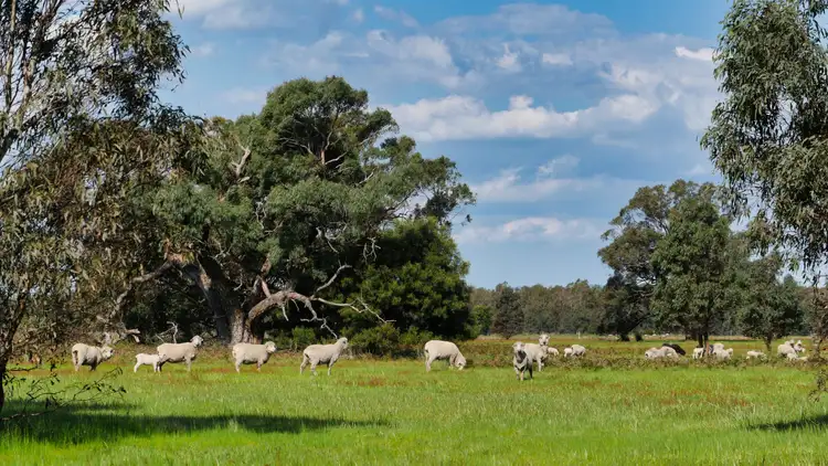 Fifth view of Homely rural property listing, Lot 1 Ararat Halls Gap Road, Pomonal VIC 3381