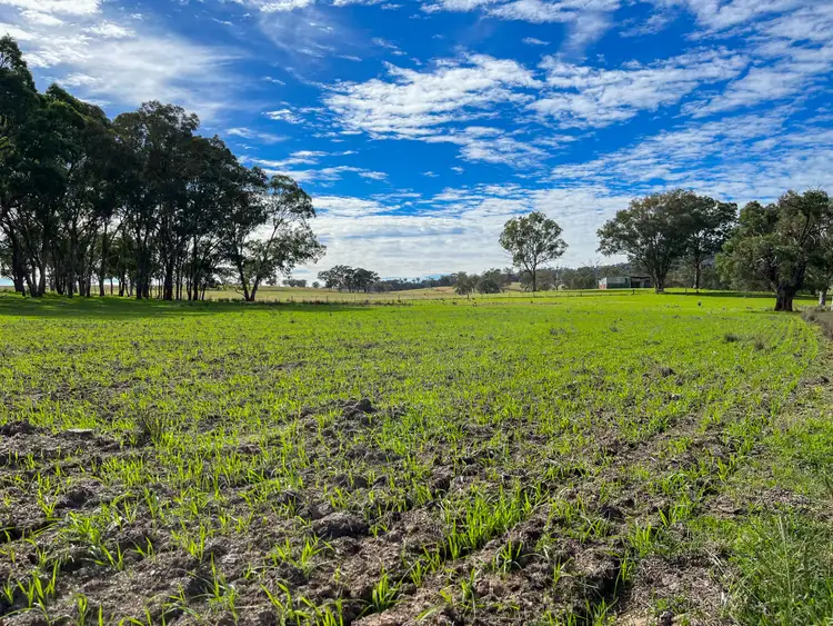Sixth view of Homely rural property listing, "Haystack" Haystack Road, Bundarra NSW 2359