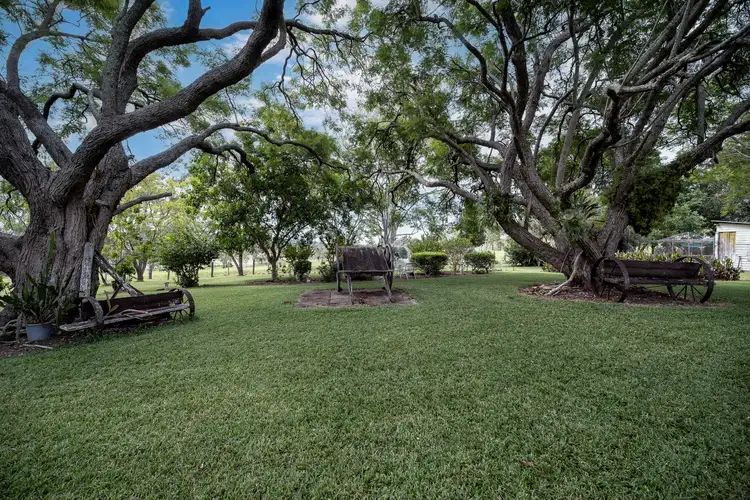 Third view of Homely rural property listing, 8145 Mount Lindesay Highway, Josephville QLD 4285