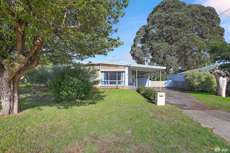 8 Waltham Road, Armadale WA 6112