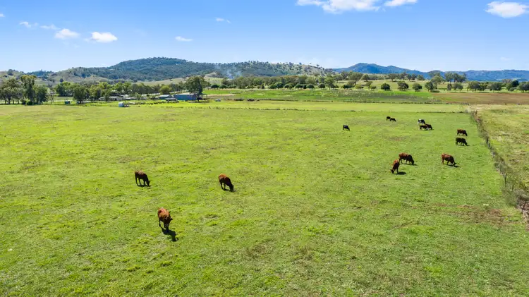 Fifth view of Homely rural property listing, 'Cottage Grove' 112 Nundle Road, Nemingha NSW 2340