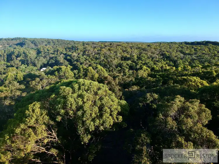 Fourth view of Homely land listing, LOT 6, 4072 Caves Road, Wilyabrup WA 6280
