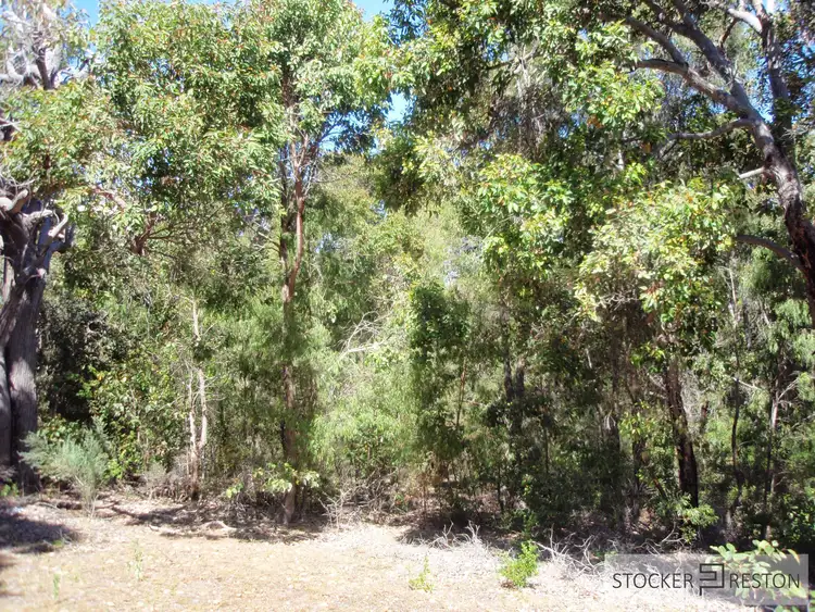 Seventh view of Homely land listing, LOT 6, 4072 Caves Road, Wilyabrup WA 6280