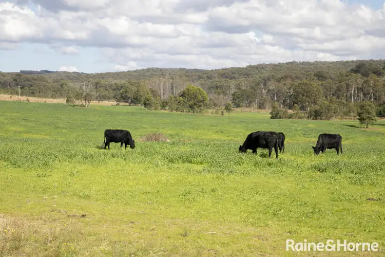 Main view of Homely land listing, Lot 2, 2060 Brayton Road, Big Hill NSW 2579