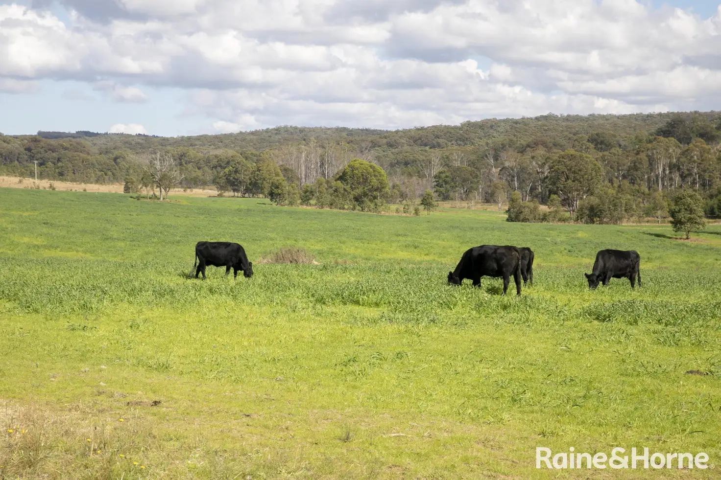 Main view of Homely land listing, Lot 2, 2060 Brayton Road, Big Hill NSW 2579