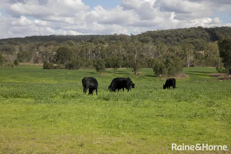Fifth view of Homely land listing, Lot 2, 2060 Brayton Road, Big Hill NSW 2579