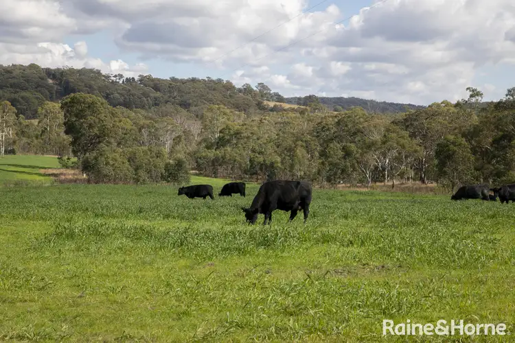 Sixth view of Homely land listing, Lot 2, 2060 Brayton Road, Big Hill NSW 2579