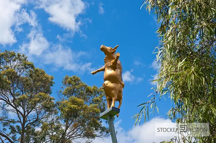 Seventh view of Homely land listing, LOT 13, 20 Stewart Smith Loop, Cowaramup WA 6284