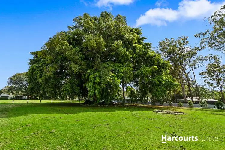 Sixth view of Homely land listing, 53 Fin Court, Elimbah QLD 4516