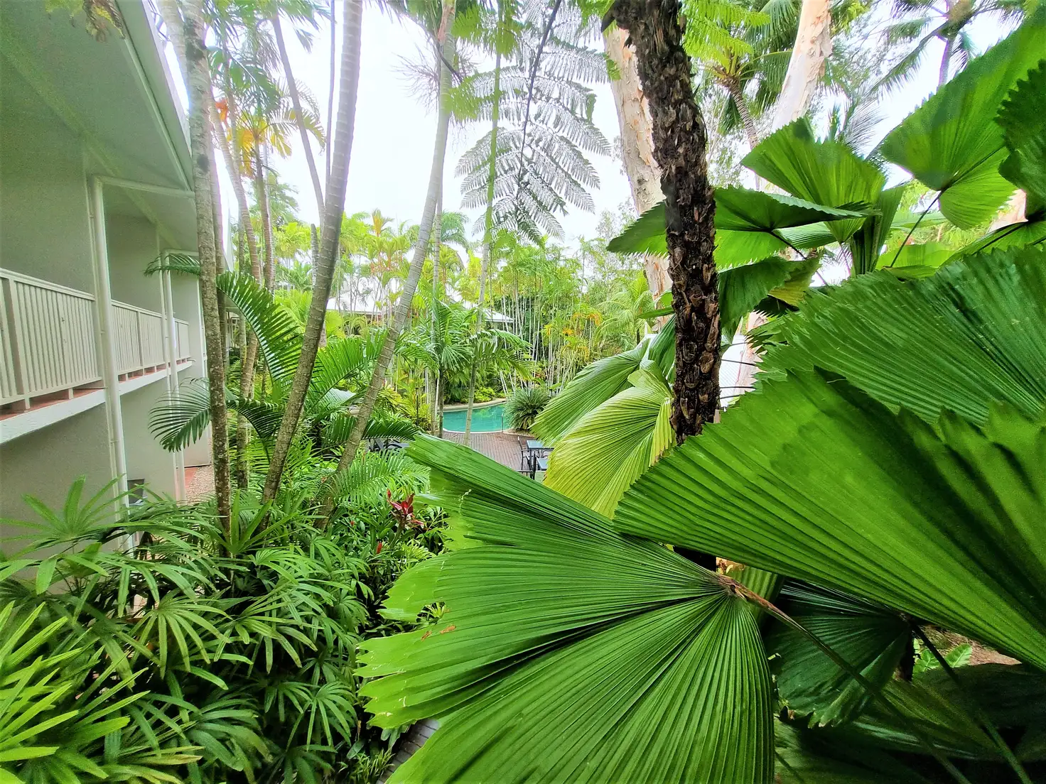 Main view of Homely unit listing, 3/31-33 Mowbray Street (PORT DOUGLAS RETREAT), Port Douglas QLD 4877