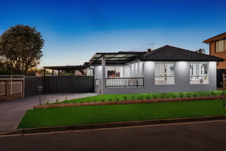 3 Rhine Street, St Clair NSW 2759