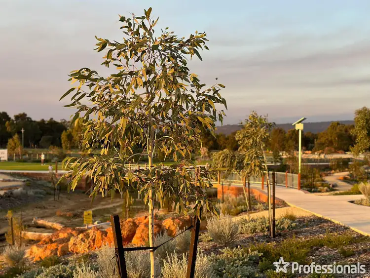 Second view of Homely land listing, 21 Delianuova Street, Byford WA 6122