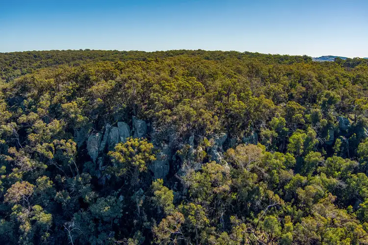Main view of Homely land listing, 44 Triangle Swamp Road, Bocoble NSW 2850