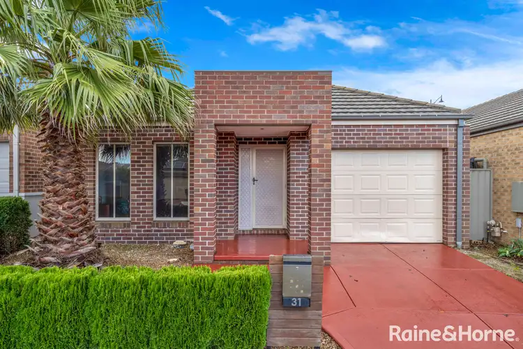 31 Flagstaff Loop, Craigieburn VIC 3064