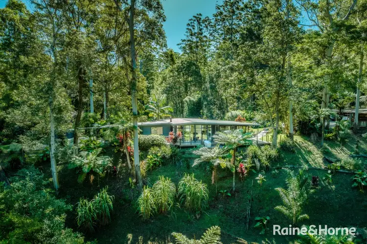 Main view of Homely house listing, 469 Kalang Road, Kalang NSW 2454