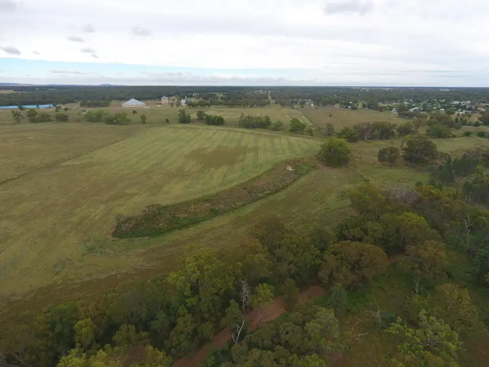 Main view of Homely rural property listing, 129 Baradine Road, Baradine NSW 2396