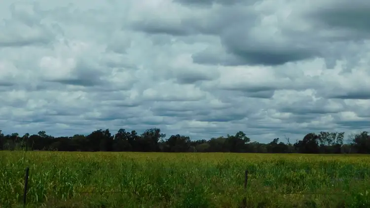 Second view of Homely rural property listing, 129 Baradine Road, Baradine NSW 2396