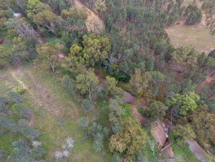 Fourth view of Homely rural property listing, 129 Baradine Road, Baradine NSW 2396