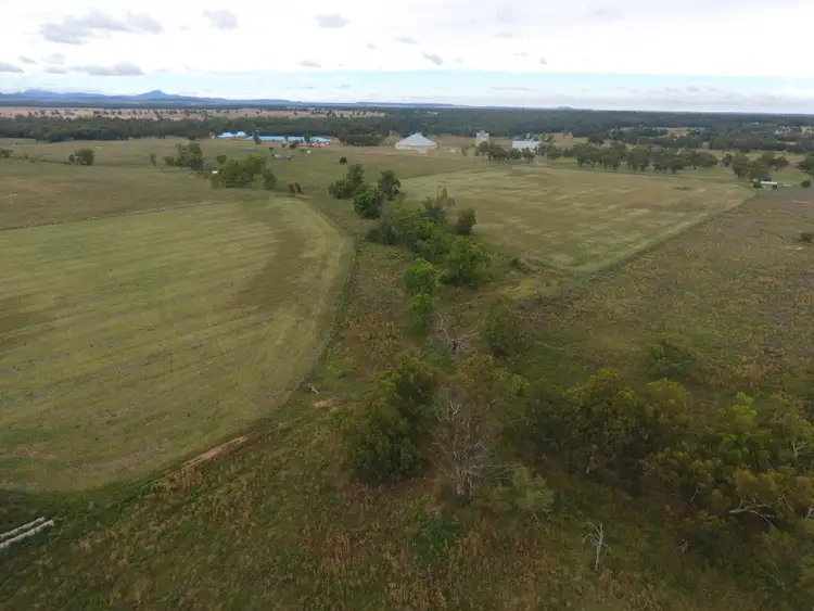 Fifth view of Homely rural property listing, 129 Baradine Road, Baradine NSW 2396