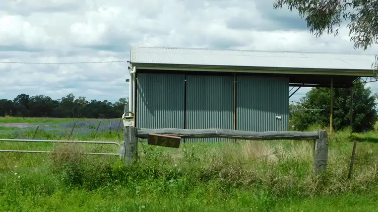 Sixth view of Homely rural property listing, 129 Baradine Road, Baradine NSW 2396