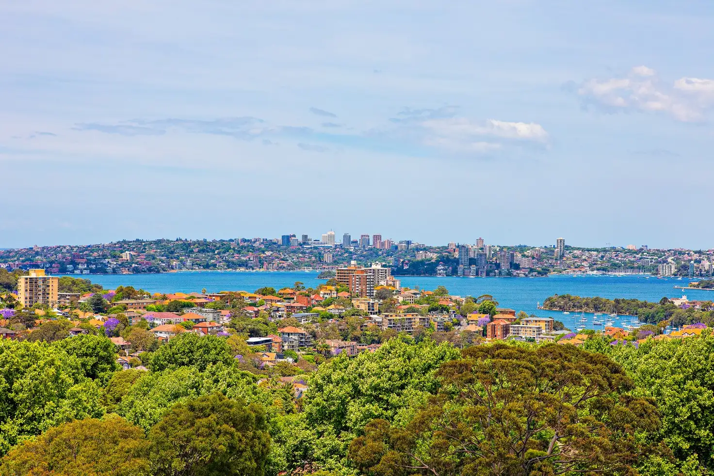 Main view of Homely apartment listing, 72/75 Spofforth Street, Mosman NSW 2088