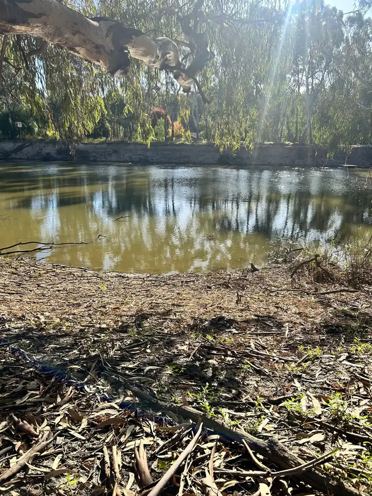 Seventh view of Homely land listing, 11 Armstrong Drive, Barham NSW 2732