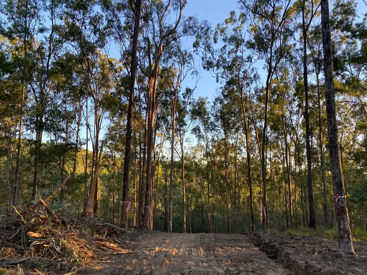 Fourth view of Homely land listing, 310-320 Marks Road, Jimboomba QLD 4280