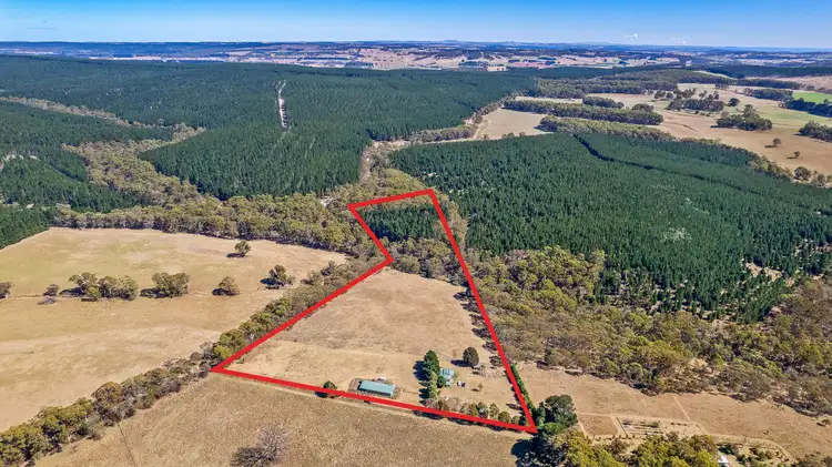 Third view of Homely rural property listing, 275 Chatham Valley Road, Chatham Valley NSW 2787