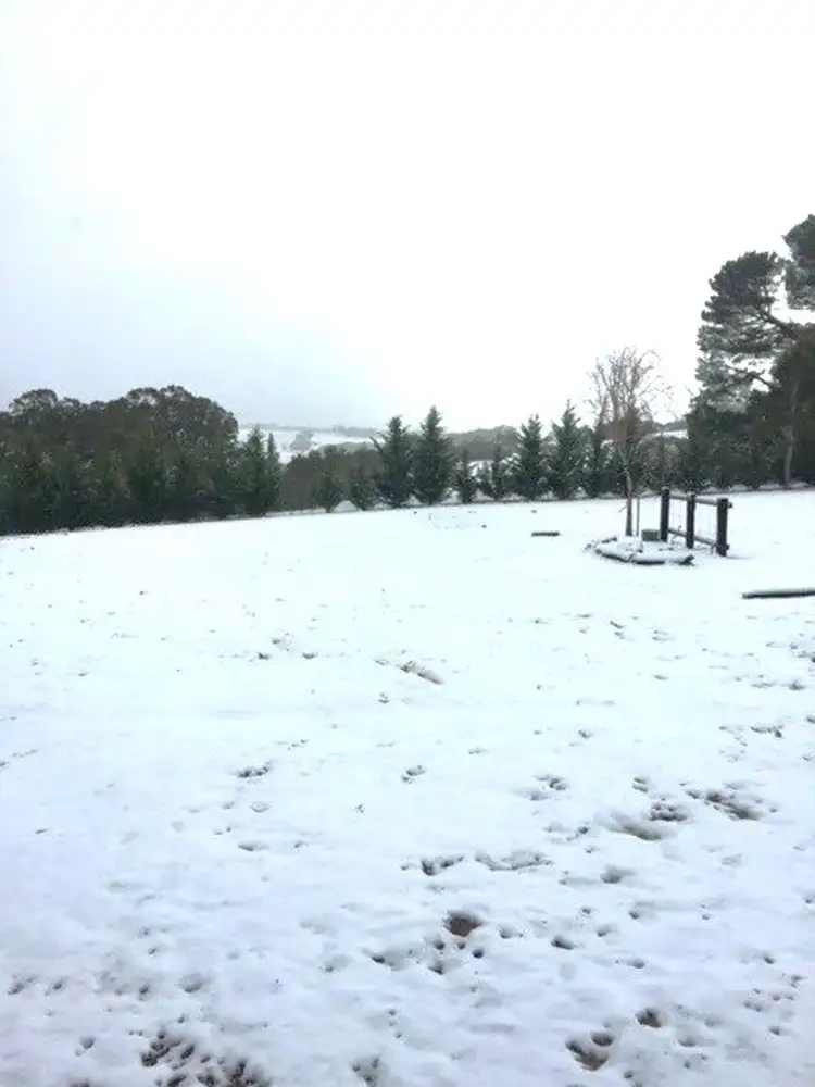 Fourth view of Homely rural property listing, 275 Chatham Valley Road, Chatham Valley NSW 2787