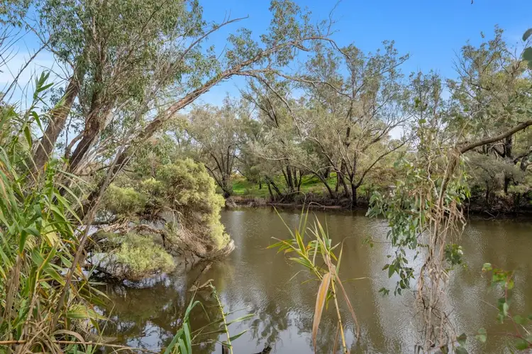 Third view of Homely rural property listing, 269 Paterson Road, Pinjarra WA 6208