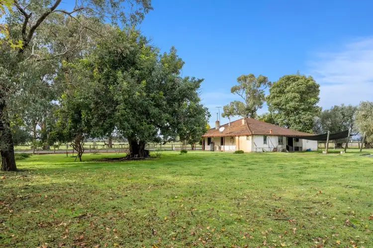 Fifth view of Homely rural property listing, 269 Paterson Road, Pinjarra WA 6208