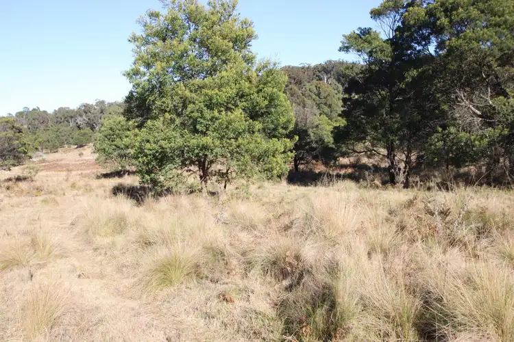 Third view of Homely land listing, 9 Mount McKenzie Lookout Road, Tenterfield NSW 2372