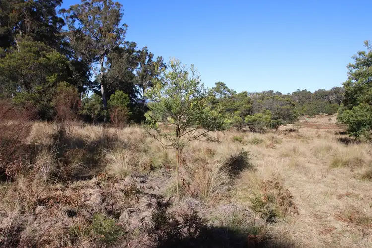 Fourth view of Homely land listing, 9 Mount McKenzie Lookout Road, Tenterfield NSW 2372