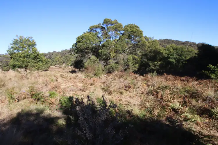 Fifth view of Homely land listing, 9 Mount McKenzie Lookout Road, Tenterfield NSW 2372