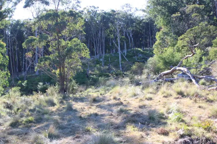 Sixth view of Homely land listing, 9 Mount McKenzie Lookout Road, Tenterfield NSW 2372