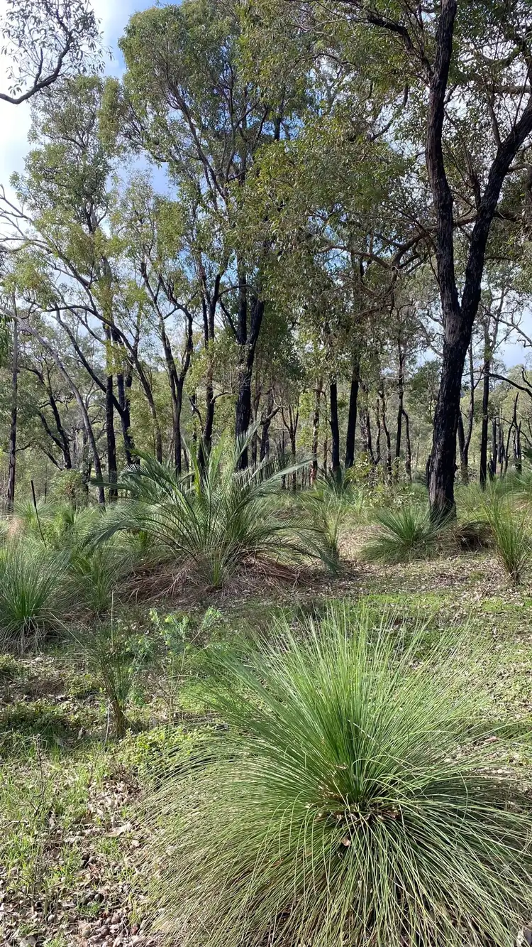 Fifth view of Homely land listing, 33 Lyons Road, Waroona WA 6215