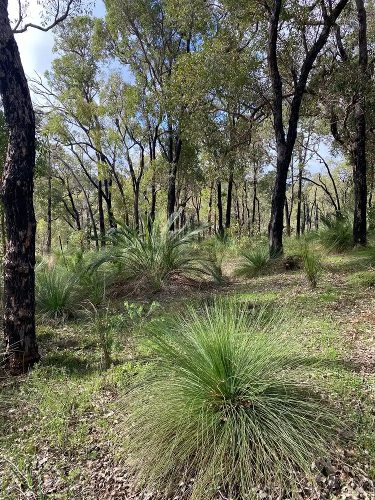 Seventh view of Homely land listing, 33 Lyons Road, Waroona WA 6215