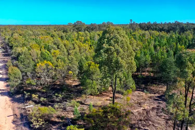 Main view of Homely rural property listing, 75 Community Lane, Tara QLD 4421