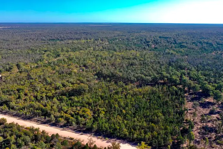 Second view of Homely rural property listing, 75 Community Lane, Tara QLD 4421