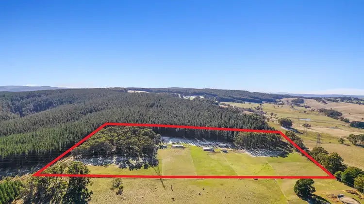 Main view of Homely house listing, 89 McManus Road, Meadow Flat NSW 2795