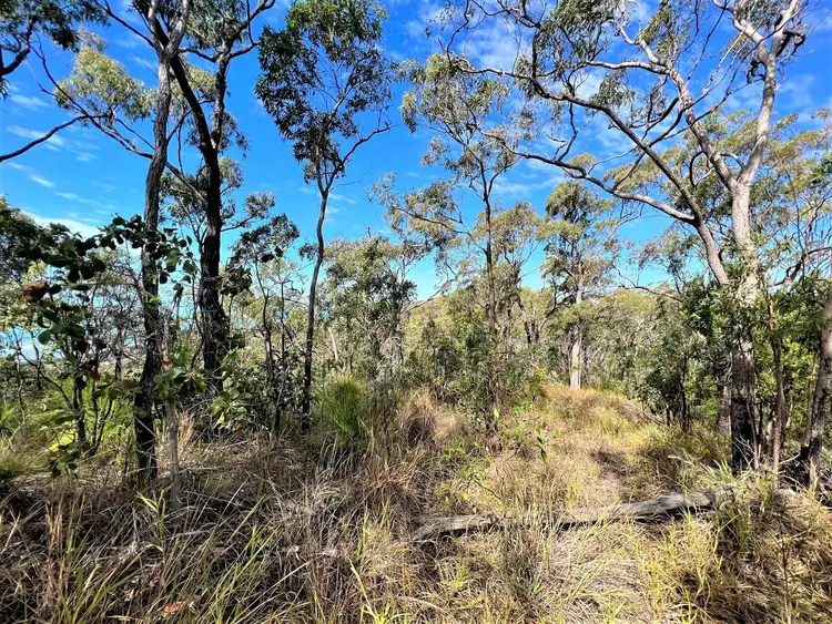 Seventh view of Homely rural property listing, Lot 1 Bruce Highway, Clairview QLD 4741